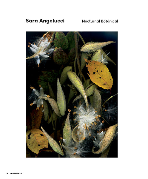 CV130 - Sara Angelucci, Nocturnal Botanical – Sara Knelman