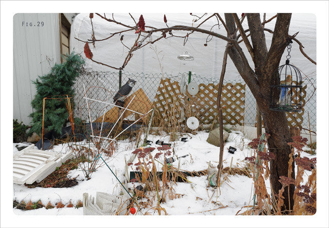 Catherine Bodmer, Les paradis de Granby, 2014-2015, carte postale, 10 × 15 cm. « Sur un si petit terrain, j’ai quand même trois lilas, un cerisier sauvage, deux vinaigriers, un tamarix, deux pins différents, un sapin. J’ai plein de fleurs, j’ai des plants de bleuets, des framboisiers, des fraises… » – EB