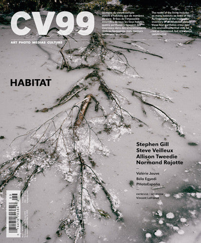 CV99 - Vincent Lafrance - ART SYSTÈME. Magazine d’art et d’idées - Jacques Doyon